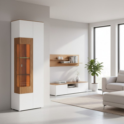 Vitrine glazen kast woonkamer etalage 1 deur. Vitrine hoge kast modern
