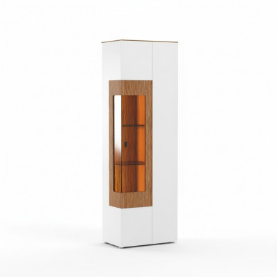 Vitrine glazen kast woonkamer etalage 1 deur. Vitrine hoge kast modern