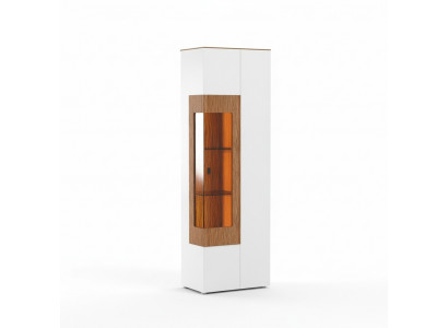 Vitrine glazen kast woonkamer etalage 1 deur. Vitrine hoge kast modern