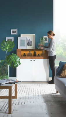 Kast van eikenhout Vitrinekast Ladenkasten Vitrinekasten Kledingkast Ontwerperskast