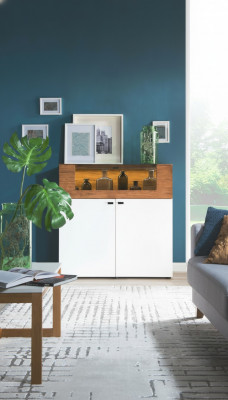 Kast van eikenhout Vitrinekast Ladenkasten Vitrinekasten Kledingkast Ontwerperskast