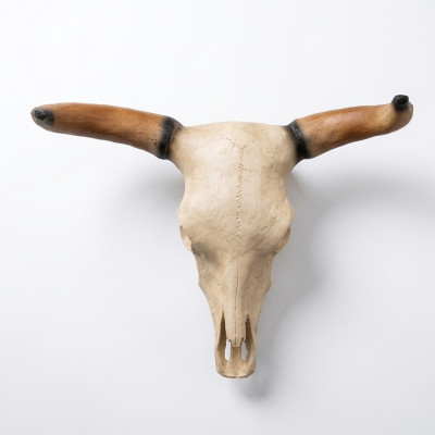 Stierenkop schedel wand sculpturen hoogte 64 cm decoratief beeld wanddecoratie