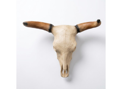 Stierenkop schedel wand sculpturen hoogte 64 cm decoratief beeld wanddecoratie
