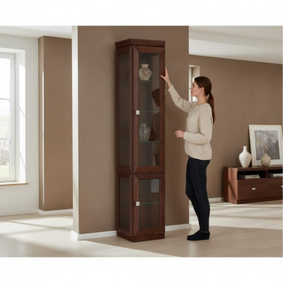 Commode Vitrine Laden Vitrines Laden Kast van Glas Ontwerper Kast Systeem