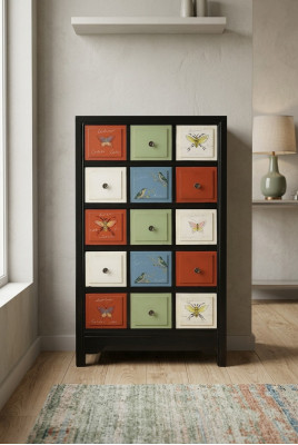 Gekleurde apotheekkast commode dressoir hoge kasten echt hout dressoirs
