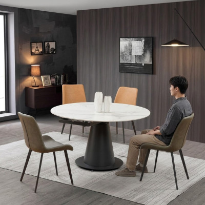 Eetkamer Design Meubelstoelgroep Tafel 4 Armstoelen Set Suite Nieuw
