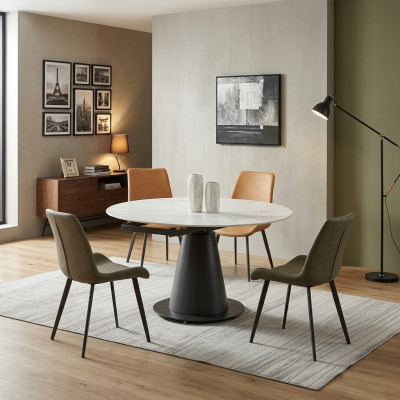 Eetkamer Design Meubelstoelgroep Tafel 4 Armstoelen Set Suite Nieuw