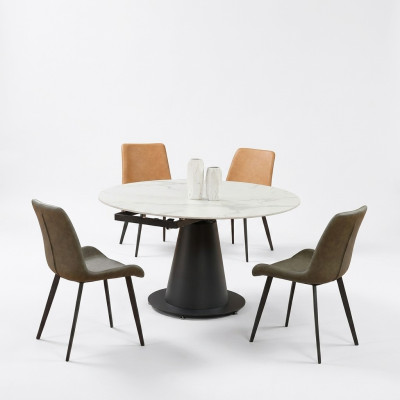 Eetkamer Design Meubelstoelgroep Tafel 4 Armstoelen Set Suite Nieuw