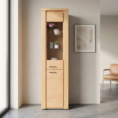 Vitrine Beuken ladenkast hout enkele vitrinekasten glazen kasten kast meubels