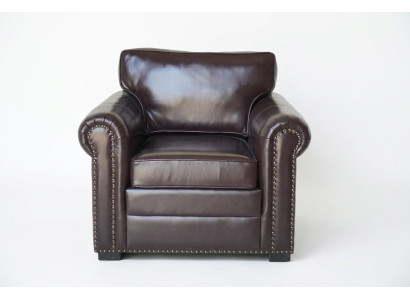 Ontwerp fauteuil van luxe leer, tv bank, eenzitter bank, ontspannen gestoffeerde lounge, nieuw.
