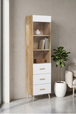 Boekenkast Vitrine Vitrinekast Glazen kast Plank Houten kast Boekenkast