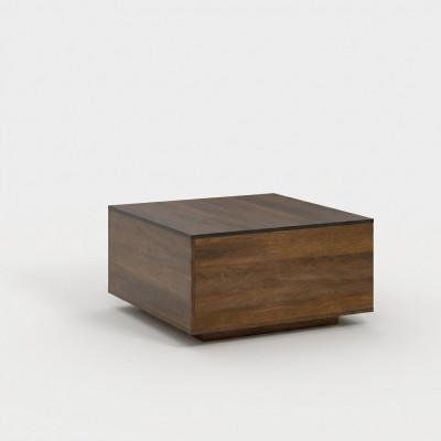 Salontafel Tafels Ontwerper Bijzettafel Nieuw Woonkamertafel Salontafels Hout