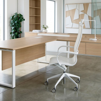 Bureaustoel Draaistoel Bureaustoel Stoel Directeursstoel Fauteuil
