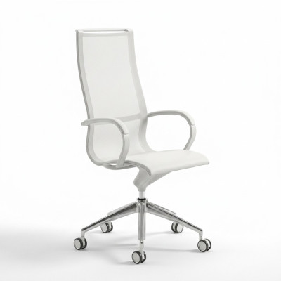 Bureaustoel Draaistoel Bureaustoel Stoel Directeursstoel Fauteuil
