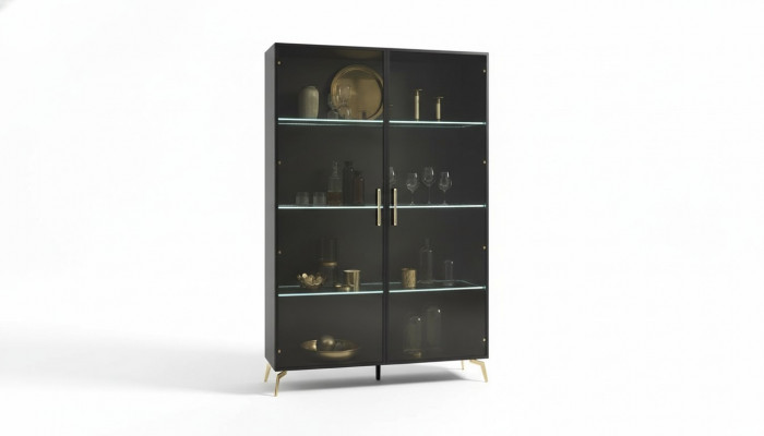 Vitrine kast Moderne Vitrinekasten Woonkamer Woonkamerkasten Modern Nieuw