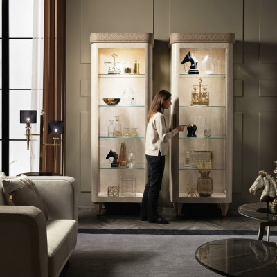 Kastplank Archiefkast Glazen kast Moderne kast Luxe vitrine Houten meubels
