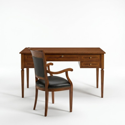 Stoelen bekleding stoel set hout leer rugleuning bank eet zetels tafels 1x Nieuw