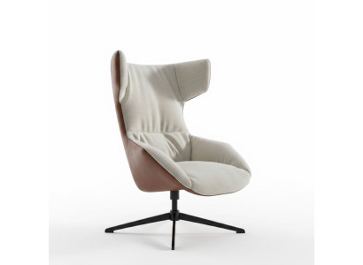 Lounge Stoel Clubstoel Arm Stoel Ontspannen Lees Luxe Stoelen Nieuw