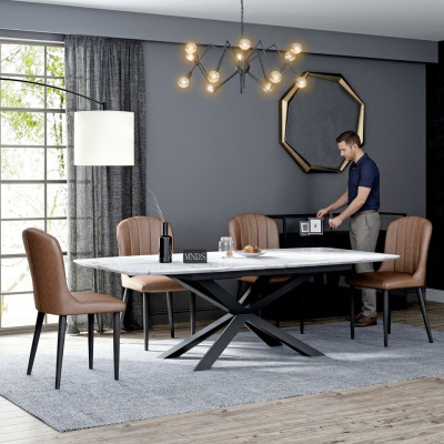 Eetkamerontwerpmeubelstoelgroep tafel + 4 stoelen met leuningen 5 delige set