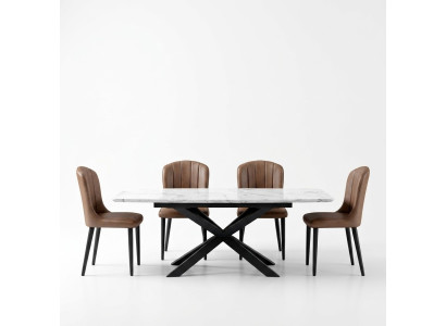 Eetkamerontwerpmeubelstoelgroep tafel + 4 stoelen met leuningen 5 delige set