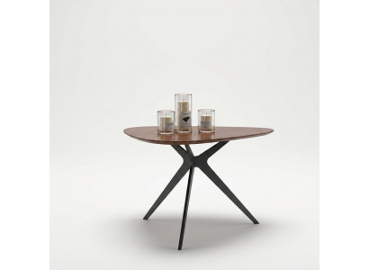 Salontafel decoratie koffietafel tafel bijzettafel ontwerper woonkamertafel.