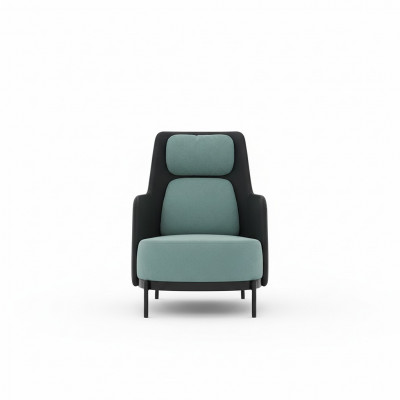 Fauteuil Clubfauteuil Loungestoel Cocktailfauteuil Fauteuil Bank Bankstellen TV Nieuw