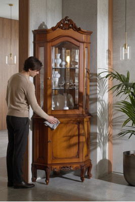 Eck Vitrine Vitrine Schrank Vitrinen Wohnzimmer Schau Schränke Design  Hoekvitrine vitrinekast vitrines woonkamer kijkkasten design