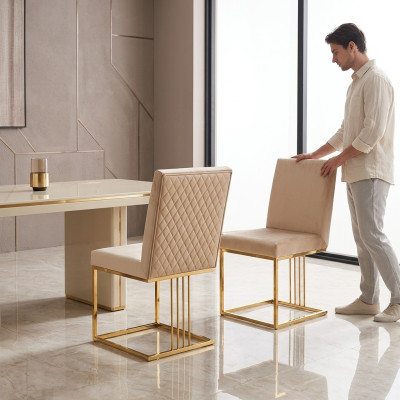 Ontwerp fauteuil bekledingsset 2x stoel 100% textiel stoelen gastronomisch eetkamer