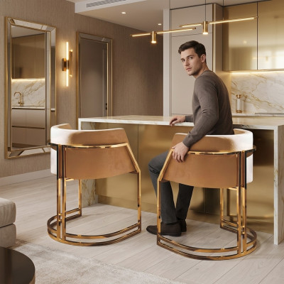 Luxe 2x stoel eetkamerstoel keukenstoelen woonkamerstoel gestoffeerde stoel leuning Nieuw