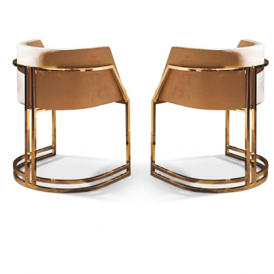Luxe 2x stoel eetkamerstoel keukenstoelen woonkamerstoel gestoffeerde stoel leuning Nieuw