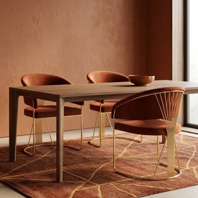 Garnituur Keuken Woonkamer Eetkamer Set Designer Stoel Set 2x Stoelen