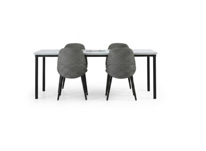 Groep eetkamer eettafel stoelen tafel hout set 5-dlg grijs design set