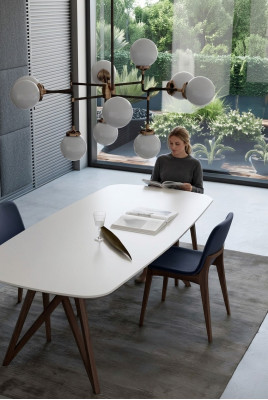 Eetkamer set Eettafel Moderne stoelen Eetset Luxe eetgroep 5-delig set