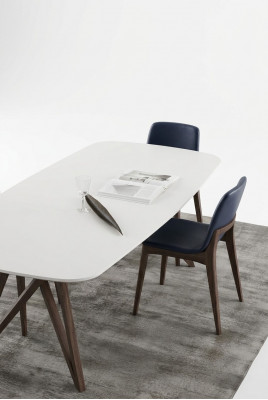 Eetkamer set Eettafel Moderne stoelen Eetset Luxe eetgroep 5-delig set