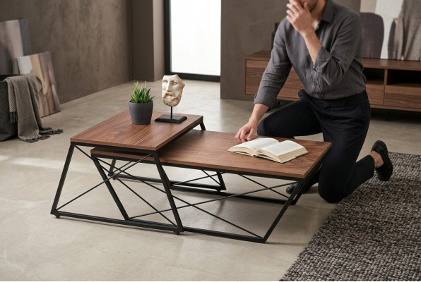 Salontafels Koffietafels Bijzettafel Designer tafel Woonkamertafels