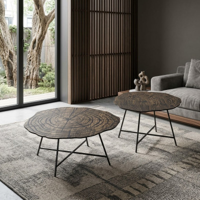 Salontafels Koffietafels Bijzettafels Design Woonkamertafels 2-delig
