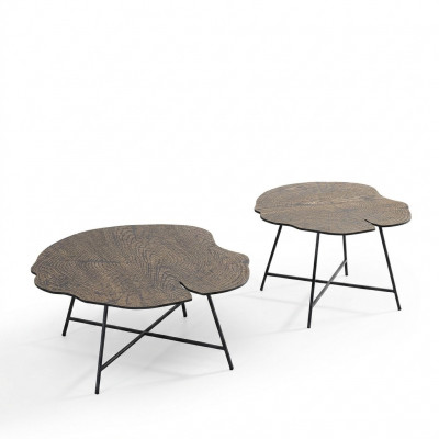 Set van twee luxe salontafels voor de woonkamer in moderne stijl
