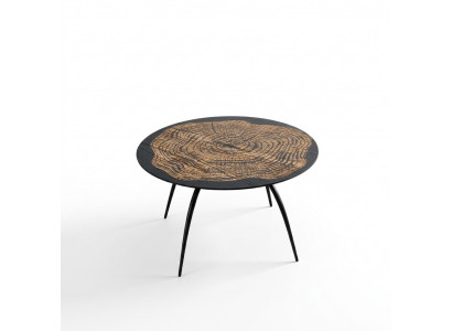 Salontafel Koffietafel Ontwerp Ronde Tafel Woonkamertafel Tafel
