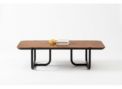Salontafel Woonkamer Ontwerp Tafel Bijzettafels Meubels Bruin Tafels Hout