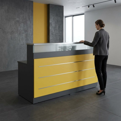 Kantoorinrichting Receptie Kantoor Moderne Designer Kantoor Nieuw