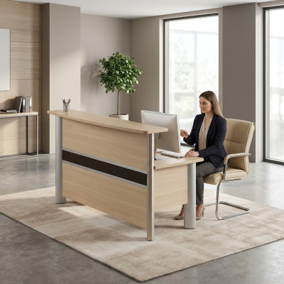 Receptie thuiskantoor kantoorinrichting Kantoor Moderne Ontwerper Receptiebalies