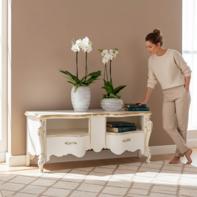 TV-meubel Dressoir tv-meubel Houten tafel Klassiek design Lowboard Planken