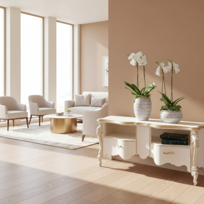 TV-meubel Dressoir tv-meubel Houten tafel Klassiek design Lowboard Planken