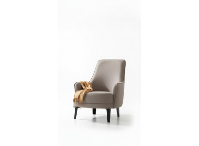 Moderne fauteuils Oorfauteuil Cocktailsfauteuil Luxe design meubels Houten meubels