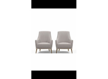 Fauteuil Groep Oorfauteuil Modern Stof Zitter Polyester 2-delig Set Grijs