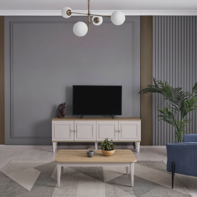 TV-standaard kast RTV Lowboard Woonkamer Grijs Hout Sideboard Modern