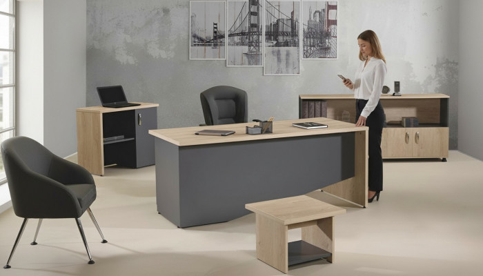 Tafel Kantoor meubels Werkkamer meubels Bureau set 4-delig Hout Grijs
