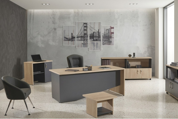 Tafel Kantoor meubels Werkkamer meubels Bureau set 4-delig Hout Grijs