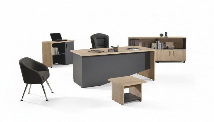 Tafel Kantoor meubels Werkkamer meubels Bureau set 4-delig Hout Grijs
