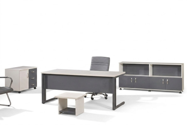 Computermöbel Werktafel Kantoorinrichting Bureau 4-delig Hout Set Grijs